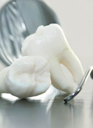 White tooth model resting on dental mirror against gray background in dental office setting.